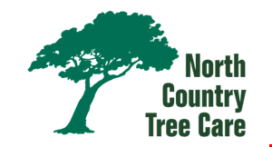 North Country Tree Care logo