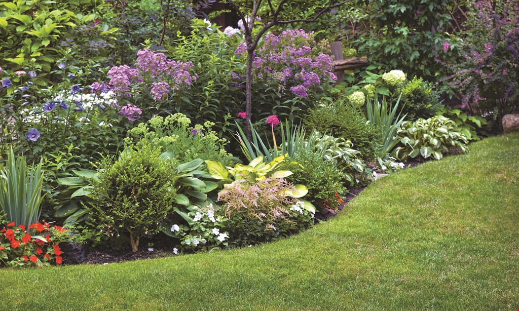 Product image for BC Landscaping $250 off any complete landscape or hardscape install
