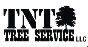 TNT Tree Service logo