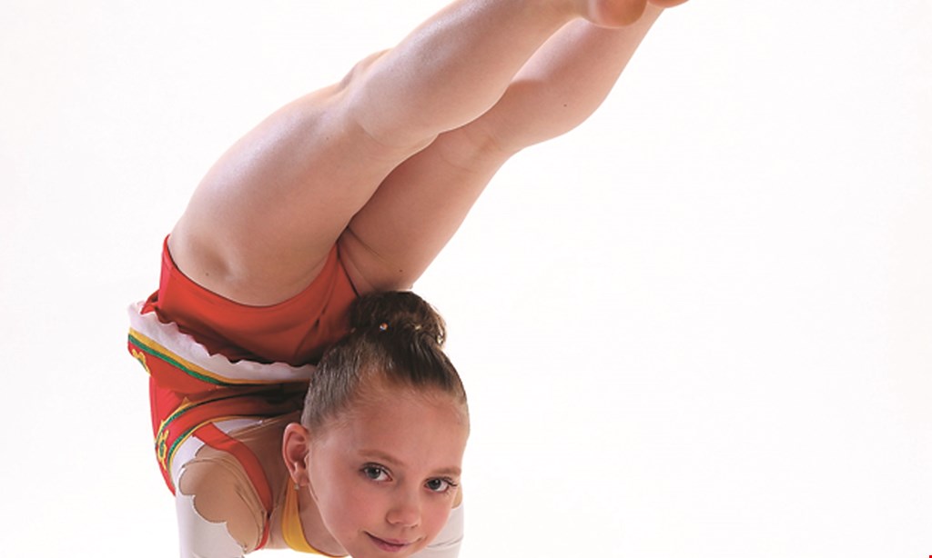 Product image for Lafleur's Gymnastic Free daytime open gym up to a $10 value.