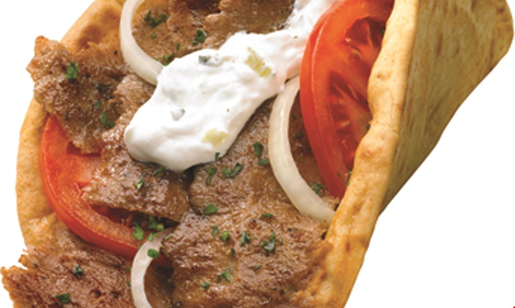 Product image for Mr. Gyros $26.99 2 gyros, 2 hot dogs, 2 1/4lb. hamburgers, 2 chicken breasts on pita, 2 family-size orders of fries, 1/2lb. homemade onion rings plus 4 cans of soda free 
