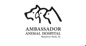 AMBASSADOR logo