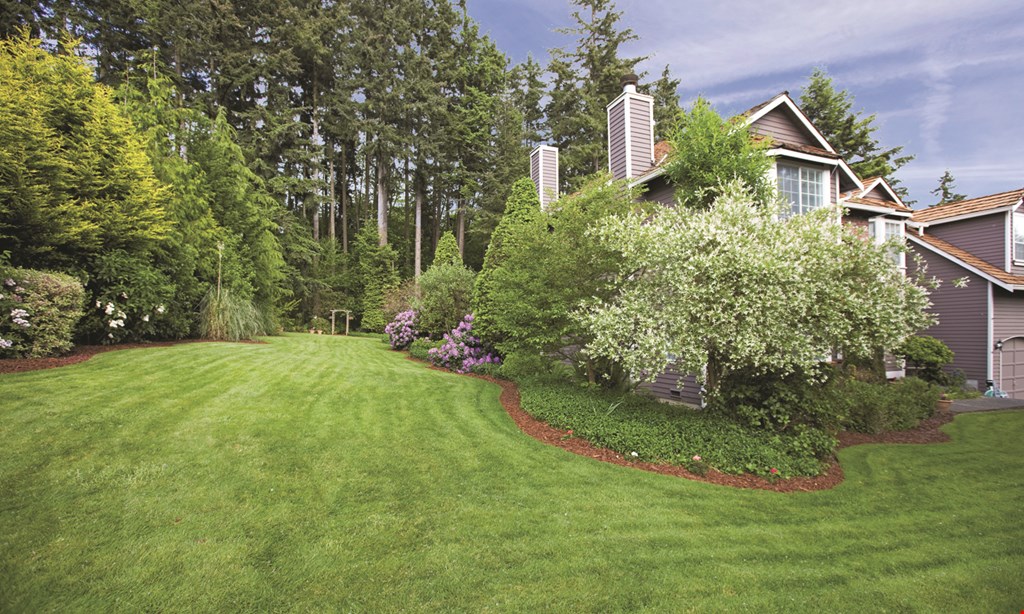 Product image for All Green Lawn & Tree Care, Inc. $50 off first tree application in 2024