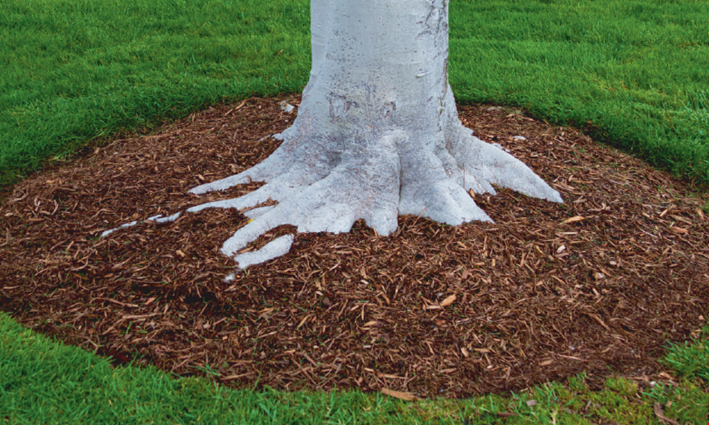 Product image for Badger Mulch 10% OFF Double Ground Hardwood mulch. $23 per yard · Plus delivery · 6 yard minimum.