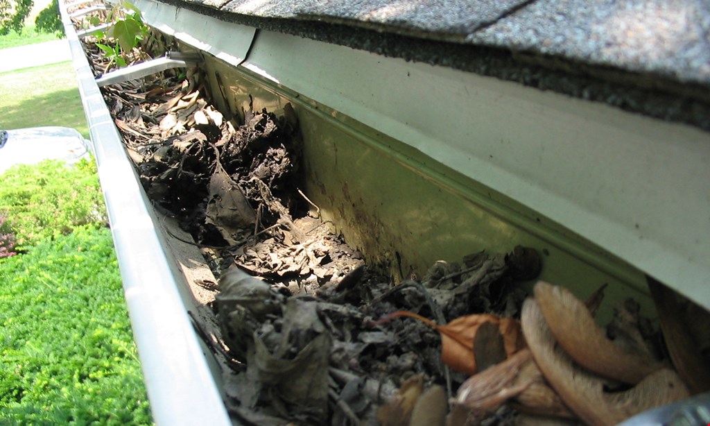 Product image for The Gutter Guys $15 OFF GUTTER CLEANING/REPAIRS. 