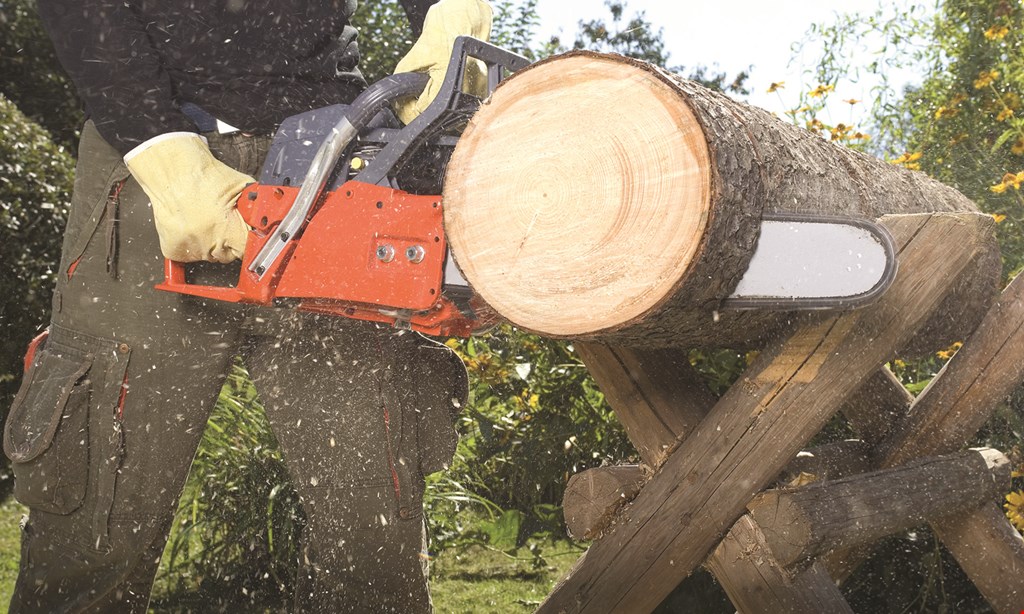 Product image for Gebhard's Logging & Tree Work $100 OFF ANY TREE JOB OR STUMP GRINDING