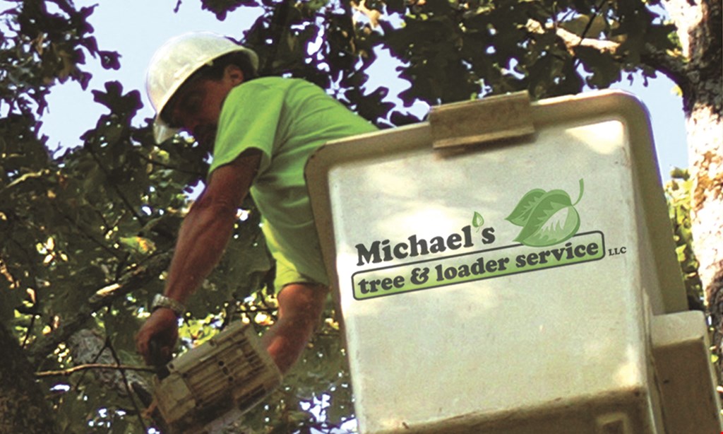 Product image for Michael's Tree & Loader Service LLC 10% Off any tree service