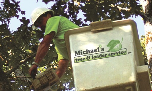 Product image for Michael's Tree & Loader Service LLC 10% off any tree service. 
