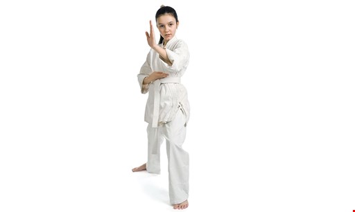 Product image for Frank Family Karate FREE one month karate classes for parents. 