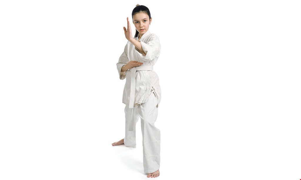 Product image for Frank Family Karate $69.99 6 weeks of reg. karate lessons.