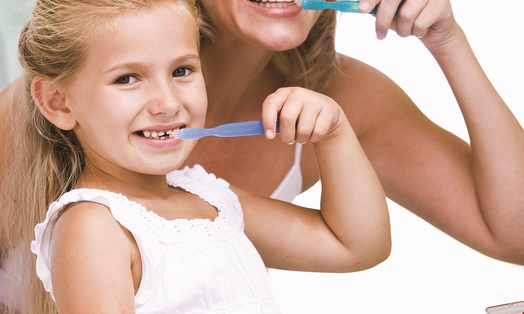 Product image for Hudsonville Dental FREE ELECTRIC TOOTHBRUSH. 