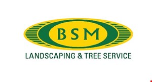 Product image for BSM Landscaping & Tree Service Landscape $100 Off Any Landscaping Service Of $1000 Or More