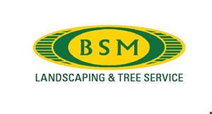 BSM Landscaping & Tree Service logo
