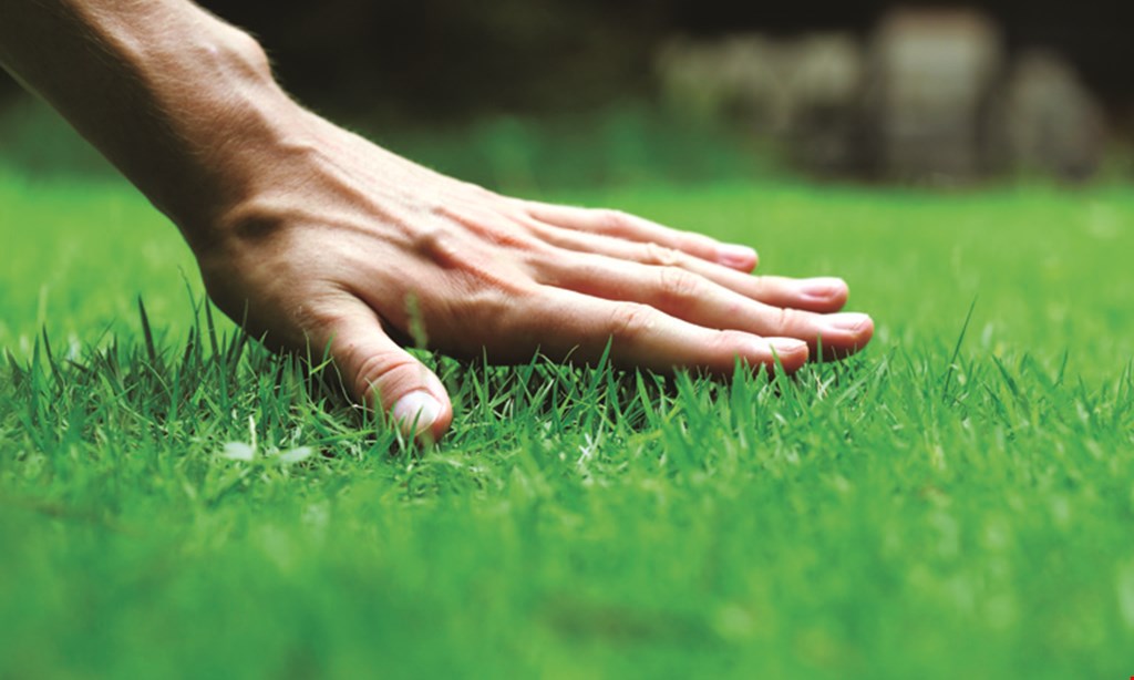 Product image for AGRO LAWN $29 95* first spring treatment with purchase of any lawncare agreement. 