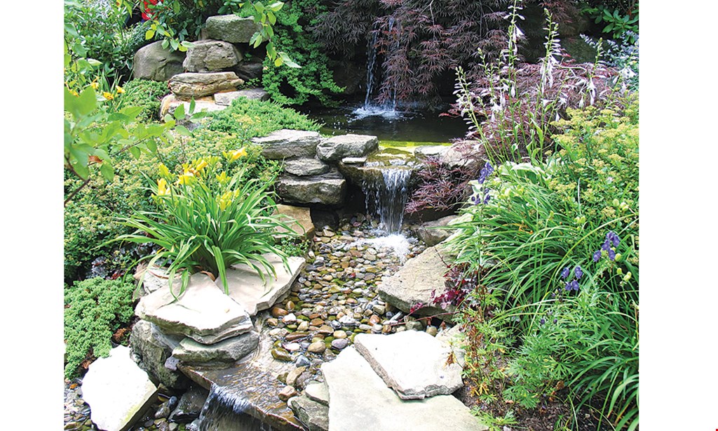 Product image for The Landscape Company & Nursery $4 off any purchase of $20 or more. 