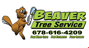 Product image for BEAVER TREE SERVICE SPRING SPECIAL 30% ANY JOB Min $1,000.