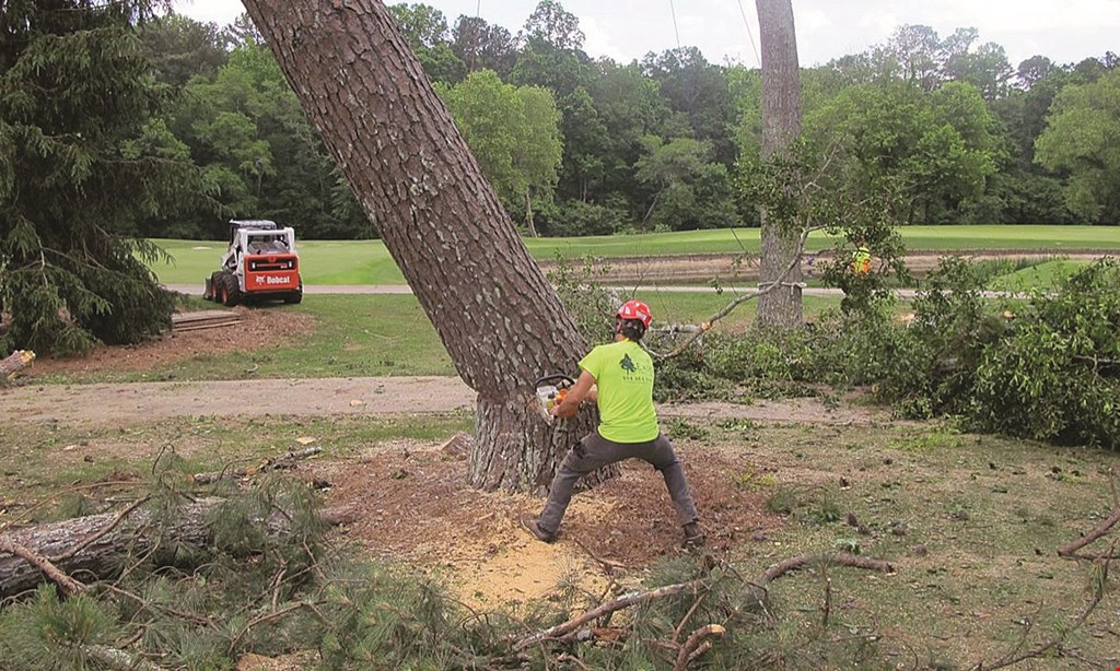 Product image for Excel Tree Care $150 off any job $2,000 up to $5000