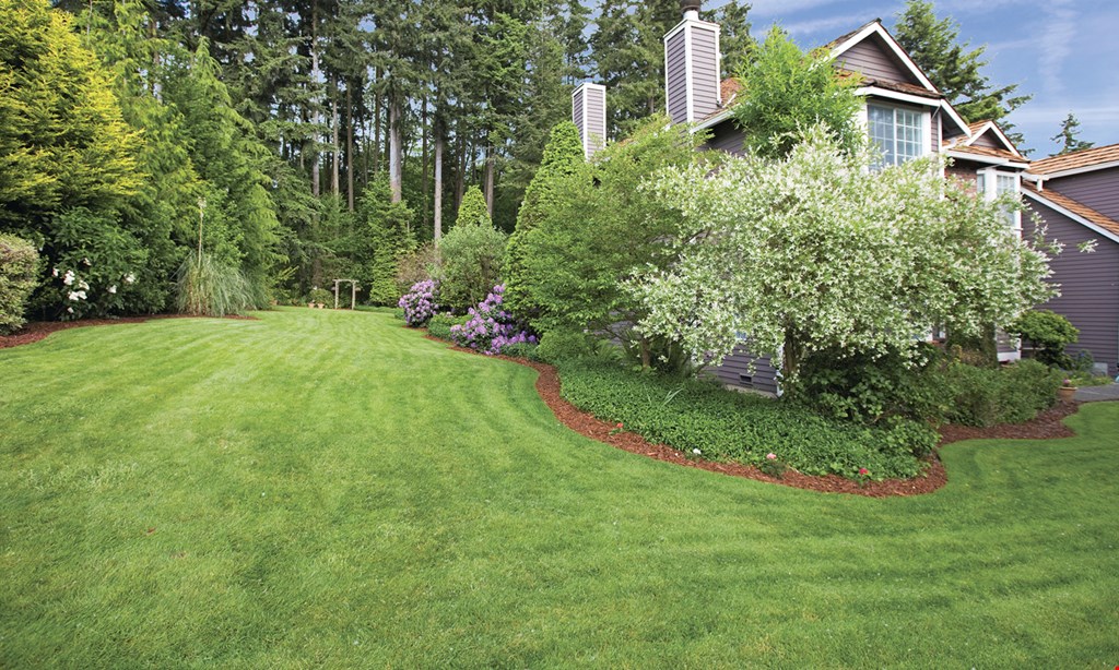 Product image for Magnolia Lawn As our new customer, take $30 off your first treatment.