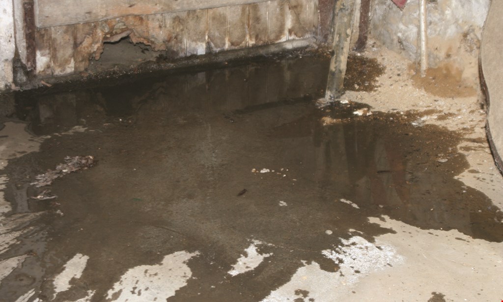 Product image for Basement Waterproofing Specialists Free* Basement Consultation