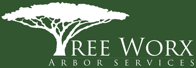 Tree Worx Coupons Deals Chattanooga TN