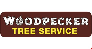 Product image for Woodpecker Tree Service 10% Off Stump Grinding