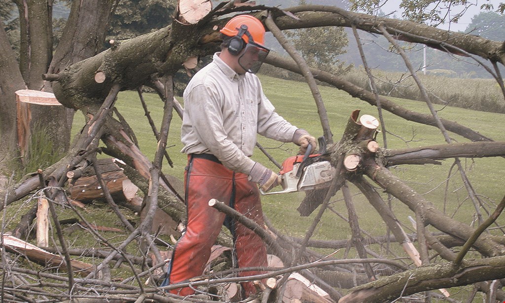 Product image for Woodpecker Tree Service 10% OFF Any Tree Removals.