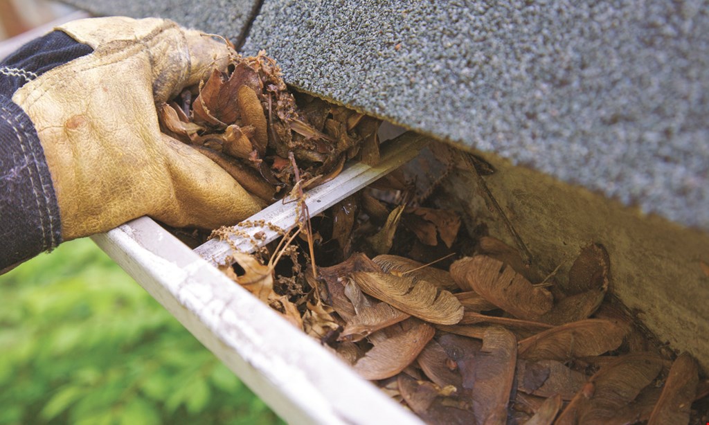 Product image for American Gutter Cleaning & Installation $100 off gutter cap