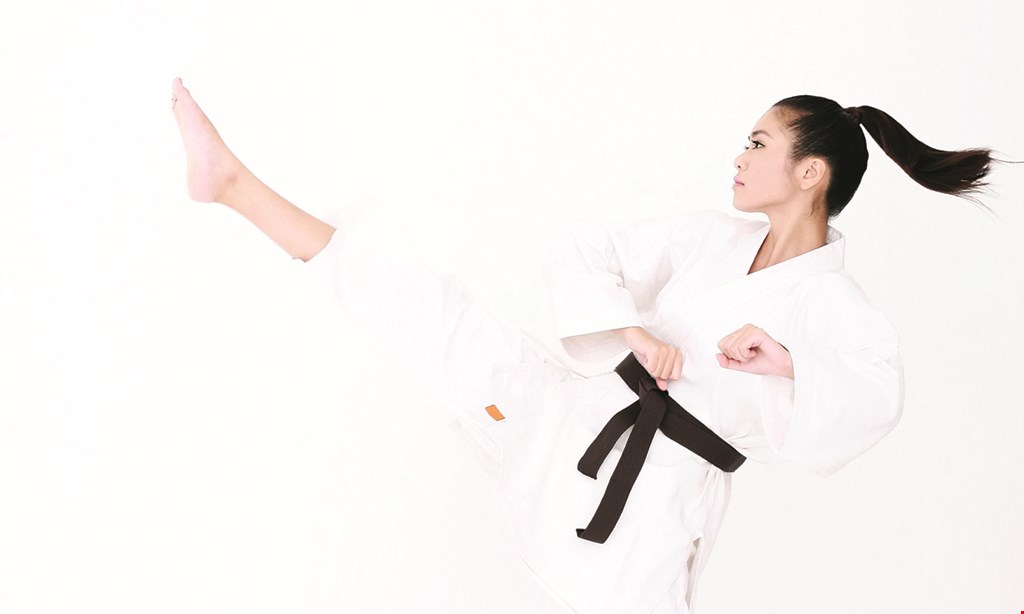 Product image for PAI'S TAE KWON DO INTRODUCTORY SPECIAL  $19.95 2 week trial membership with free t-shirt.