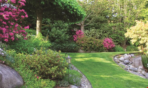 Product image for Royal Gardens Landscaping $99.00* up to 1/4 acre