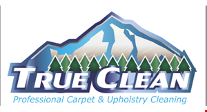 True Clean logo