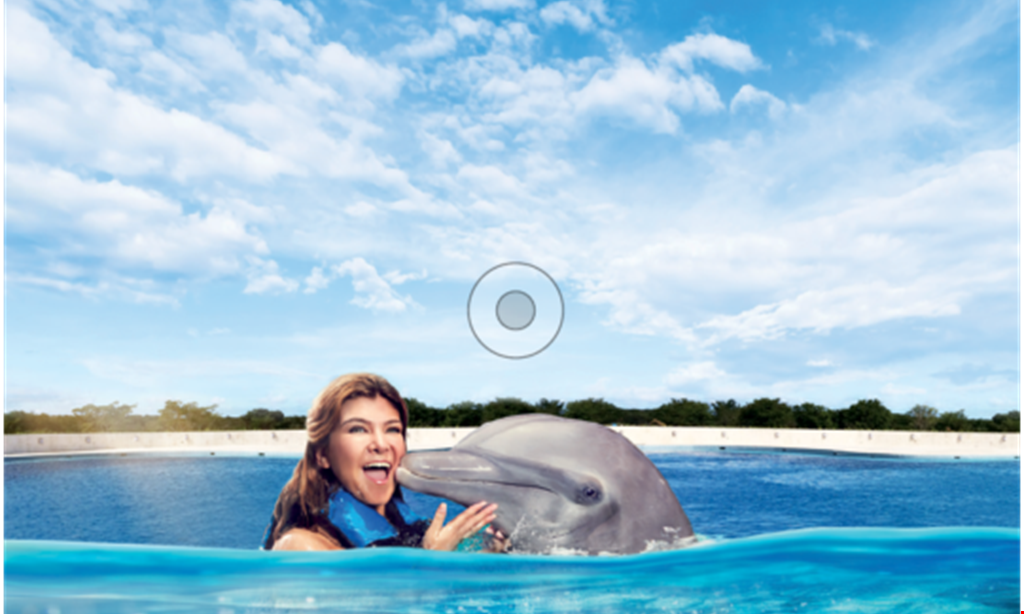 Product image for Marineland $10 OFF Swim Programs (for use on Dolphin Encounter, Swim Adventure, or Royal Swim). 