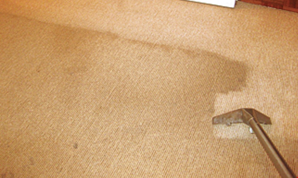 Product image for Carpet Knight $145 Holiday Special- limited time only!