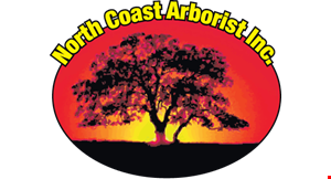 North Coast Arborist logo