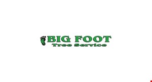 Big  Foot Tree Service LLC logo