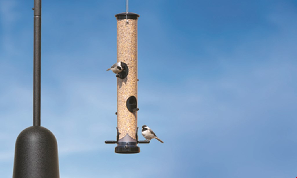 Product image for WILD BIRDS UNLIMITED 20% Off* 10% Off*One Regularly-Priced Item* Club Members Non-Members. 