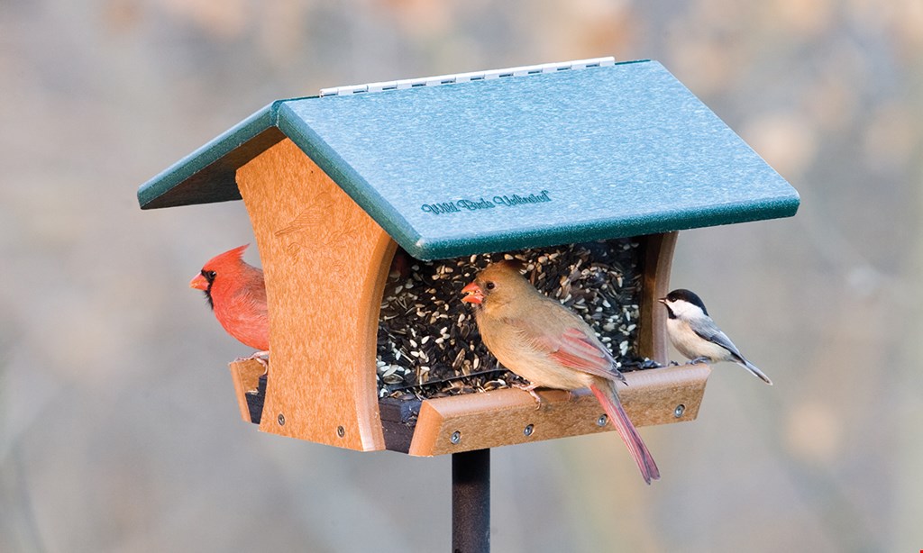 Product image for Wild Birds Unlimited Club Members 20% OFF* Non-Members 10% OFF* One Regularly-Priced Item*.