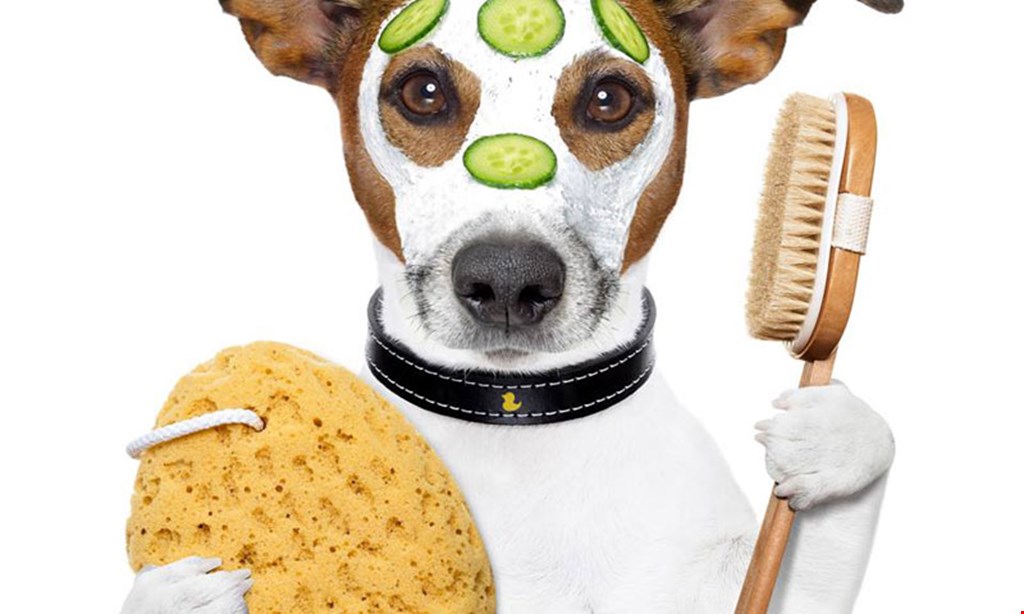 Product image for Palm Coast Pet Spa $3 OFF Any Full Groom (Normally $45). 
