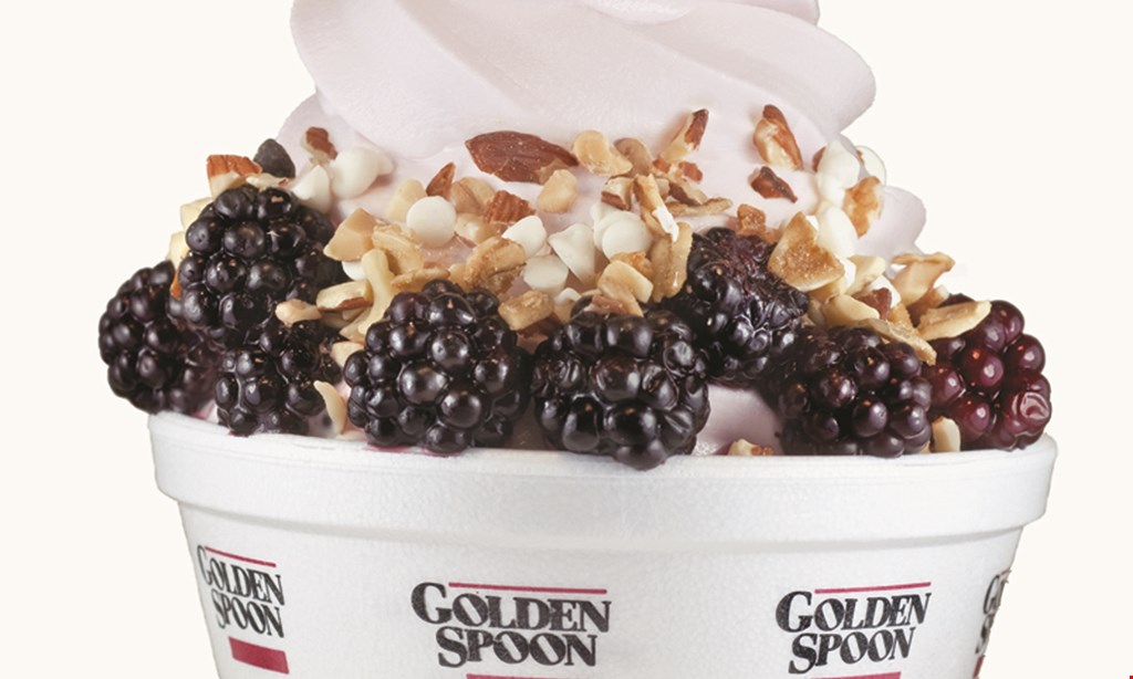 Product image for Golden Spoon NOVEMBER free topping! Buy any 8oz. yogurt at regular price, get any topping free.