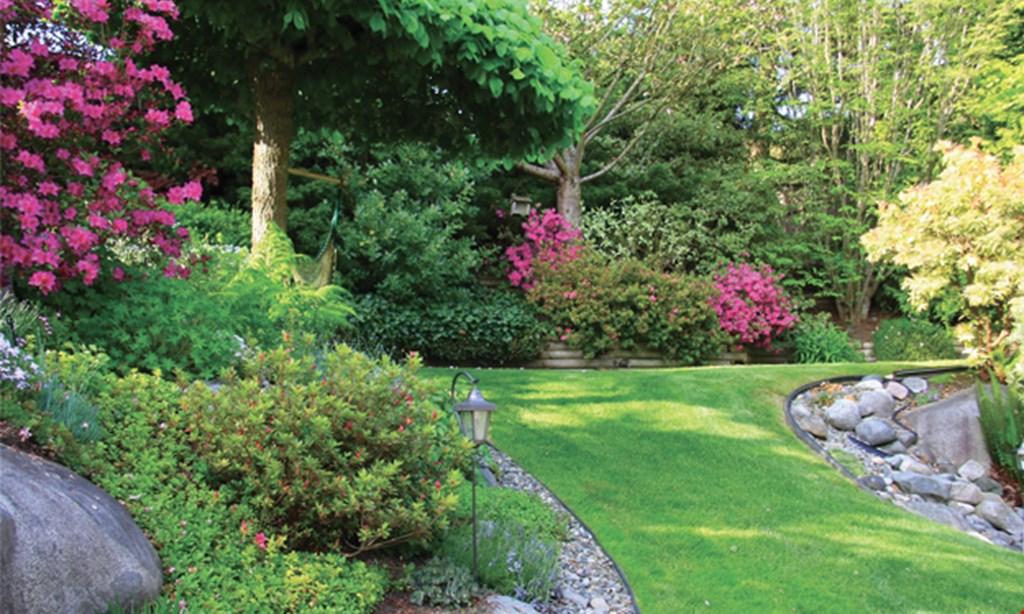 Product image for Tom Williamson Landscaping $250 off landscaping installation