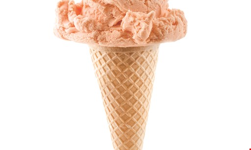 Product image for Mack's Ice Cream By Wendy $1 off any purchase of $5 or more. 