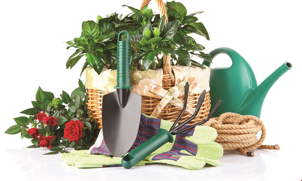 Product image for Agway Gardens $3.00 OFF annualflowering flatswith this coupon