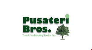 Product image for PUSATERI BROS. LANDSCAPE AND TREE SERVICE SUMMER SPECIAL 15% OFF All Tree Services. Offer valid on jobs of $250 or more.