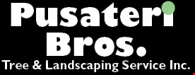 Product image for PUSATERI BROS. LANDSCAPE AND TREE SERVICE 15% Off All Tree Services Offer valid on jobs of $250 or more 