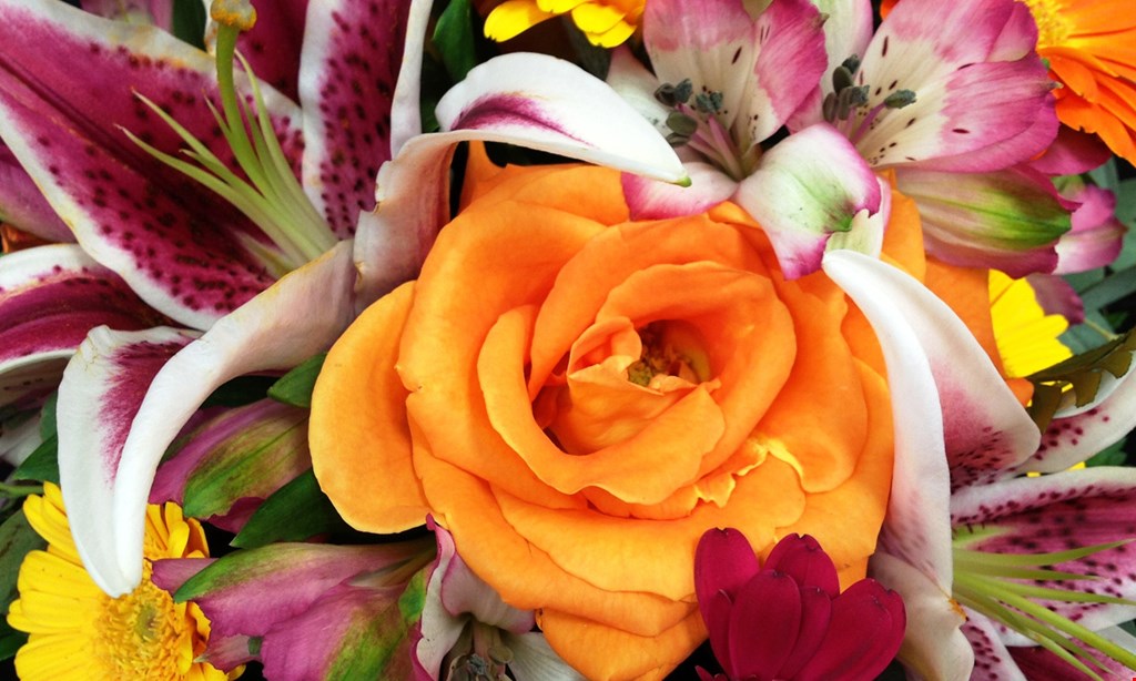 Product image for Expressions Floral Design Studio $5 OFF any purchase in store only