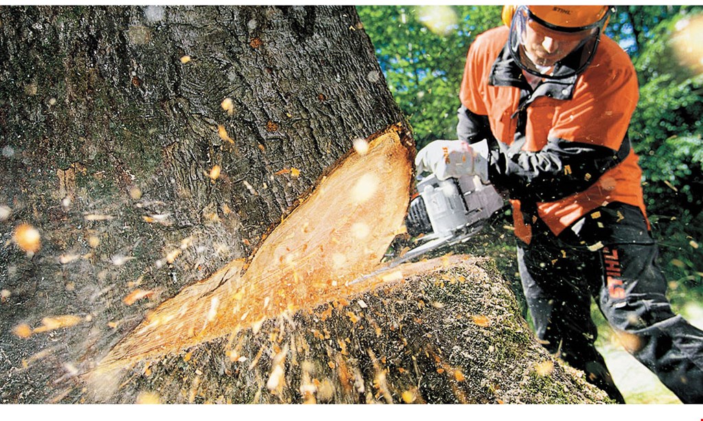 Product image for Umbergers of Fontana 2 DAYS ONLY! 50% off all Stihl® chainsaw cases. 