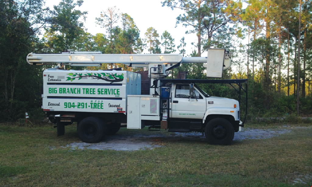Product image for Big Branch Tree Service 20% Off any job of $500 or more