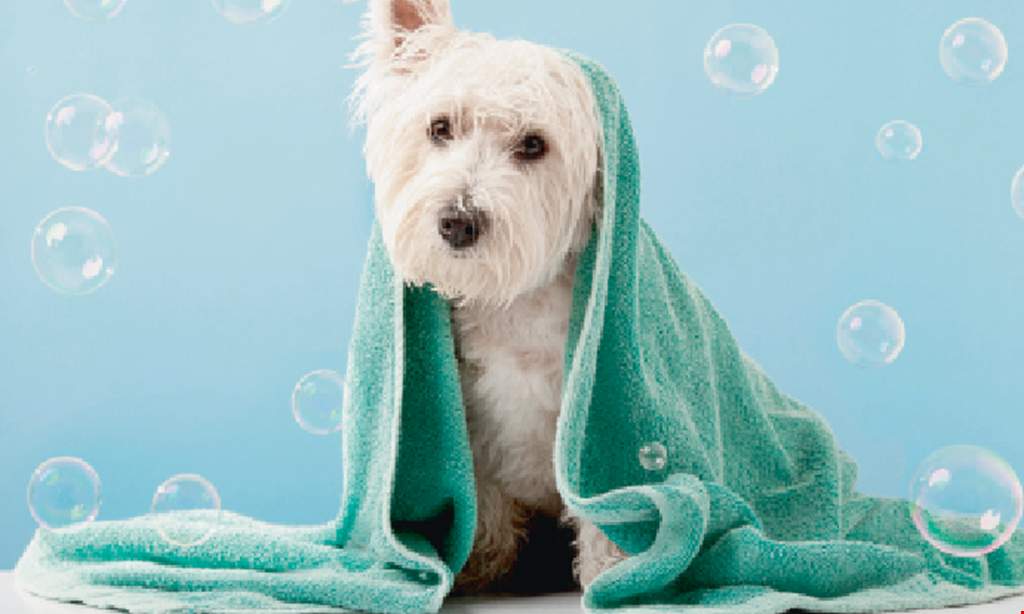 Product image for Larry's Laundromutt $5 OFF any full-service bath. 
