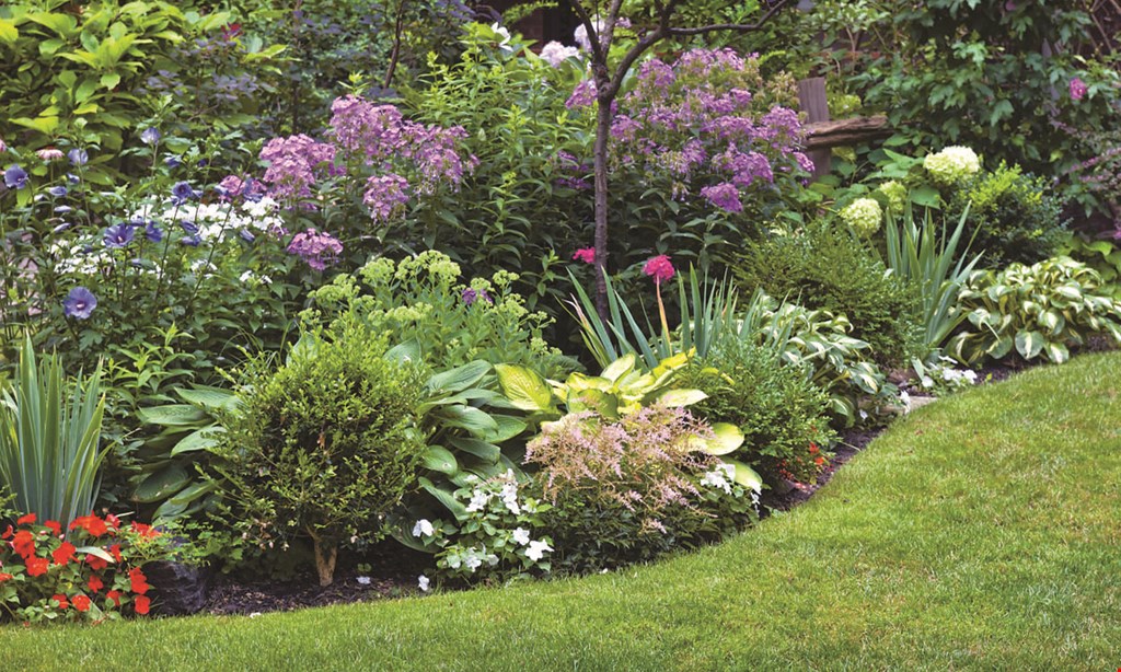Product image for Beall's Nursery & Landscaping Receive $20 Off when you spend $250 OR Receive $50 Off when you spend $500