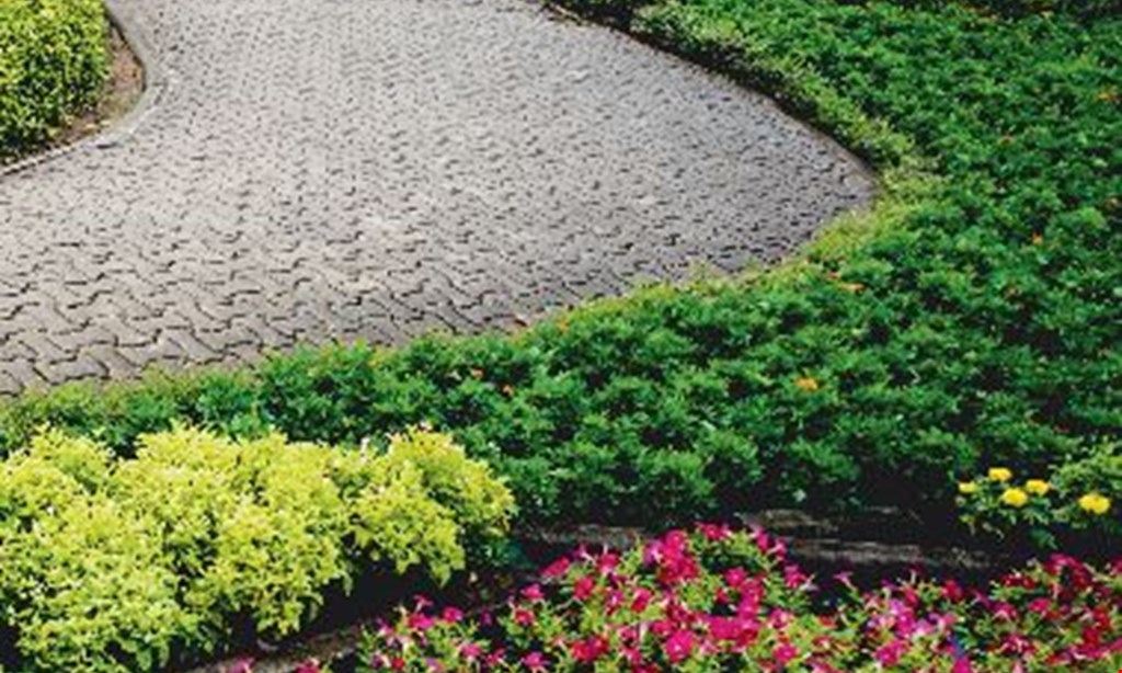 Product image for Halter Landscaping 10%OFF your first fertilization service. 