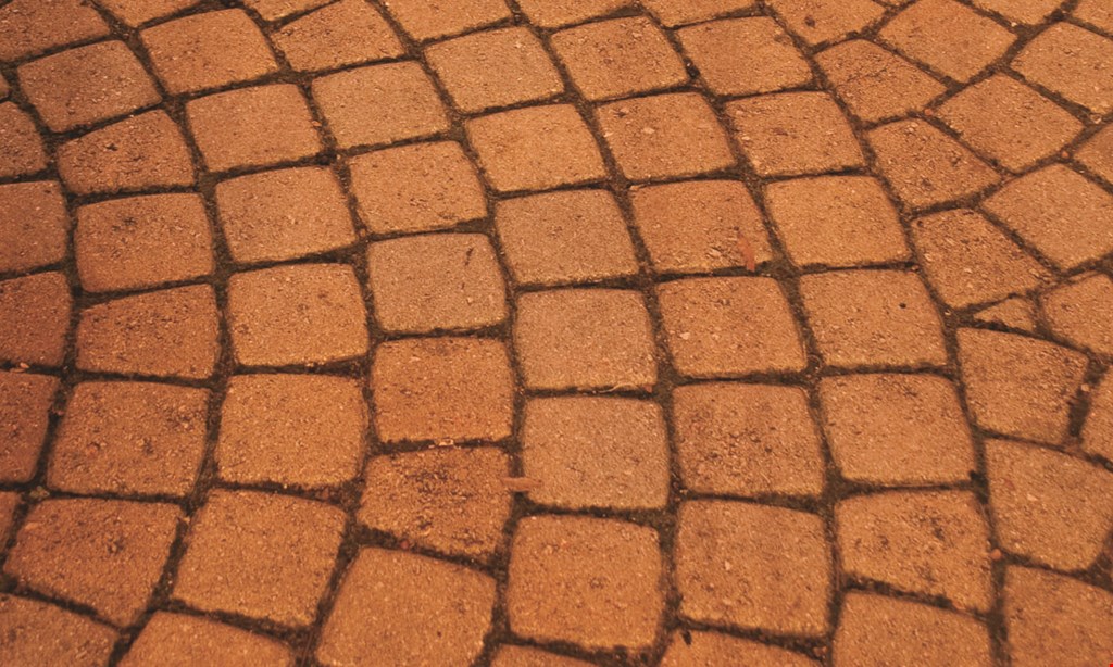 Product image for Paver Renew $100 OFF orders exceeding $800.